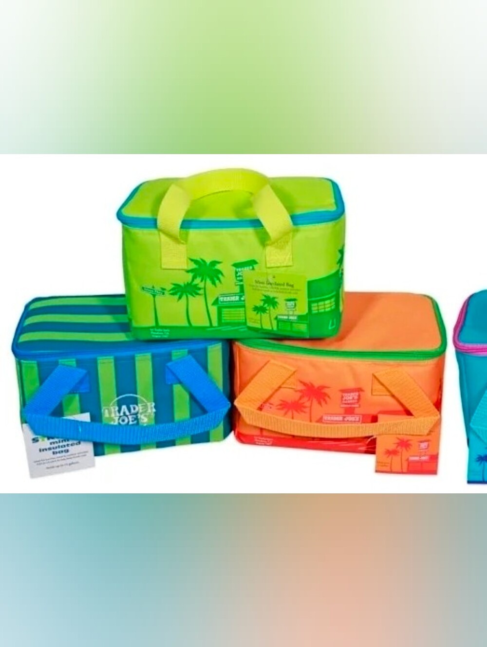 New Trader Joe's Neon Green, Orange, And Blue Striped Insulated Lunch Bag Bundle